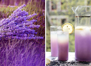 The miraculous features of lavender and a recipe for lavender tea, lemonade and oil