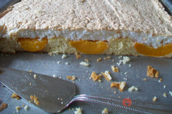 Recipe preparation Apricot slices with coconut foam, step 8