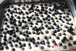 Recipe preparation Blueberry cake as soft as a cobweb, step 5
