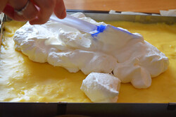Recipe preparation Creamy ice cubes, step 8